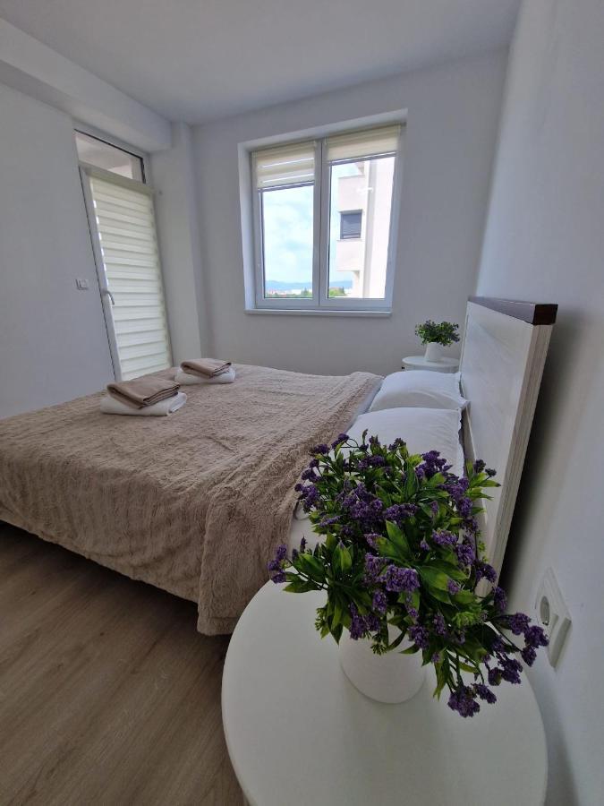 San Casa Apartment Sebeş Extérieur photo